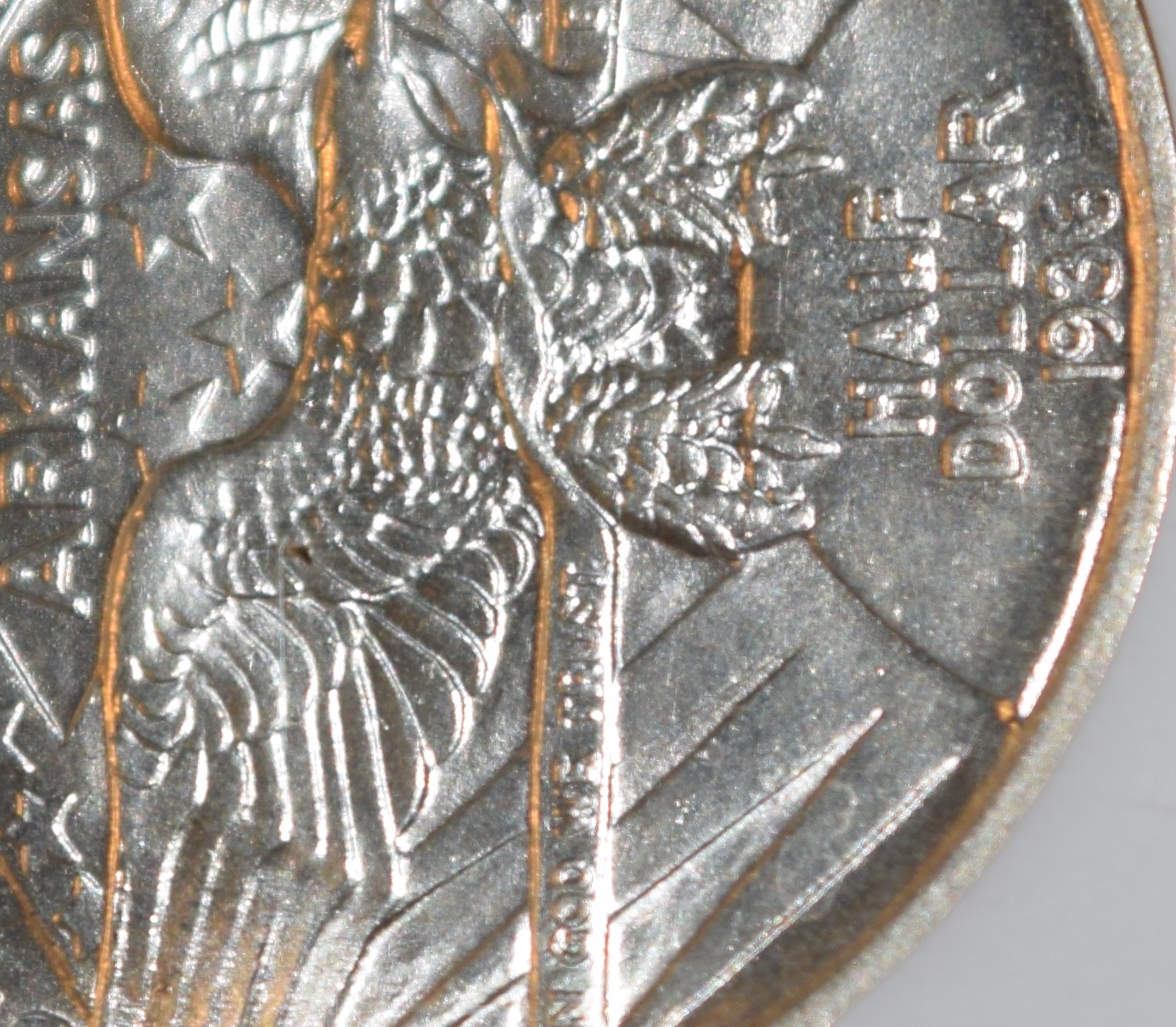 Robinson Closeup 1.jpg