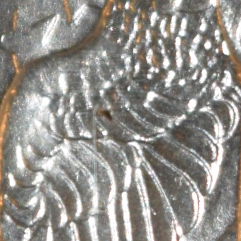 Robinson Closeup 2.jpg