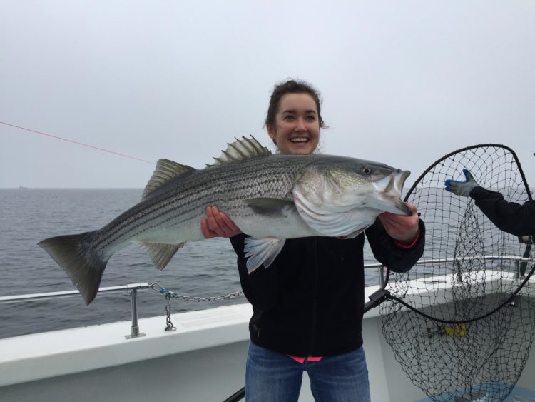 Rockfish 042716 Bay Hunter 051316.jpg