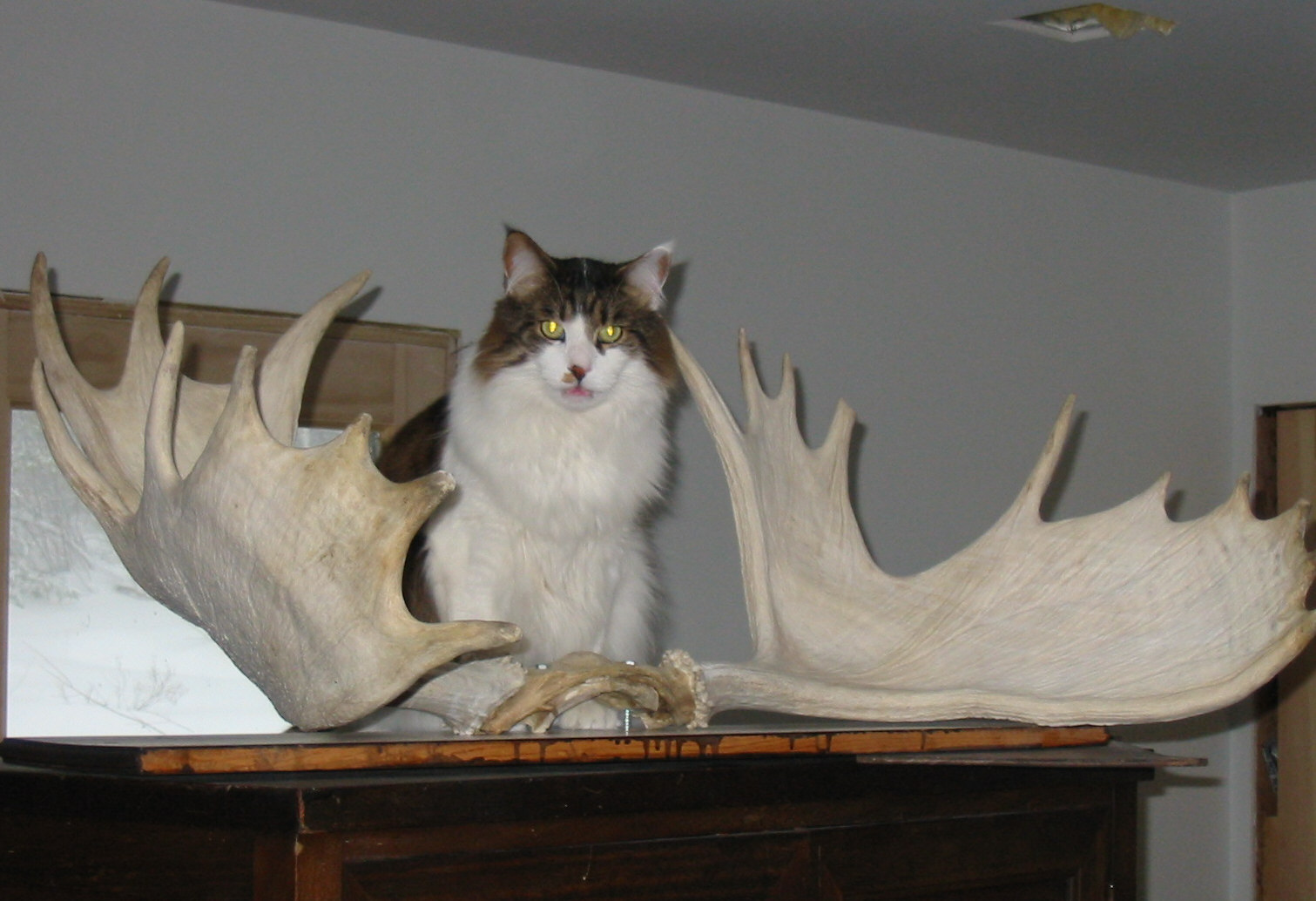 Roger & Wilber.jpg