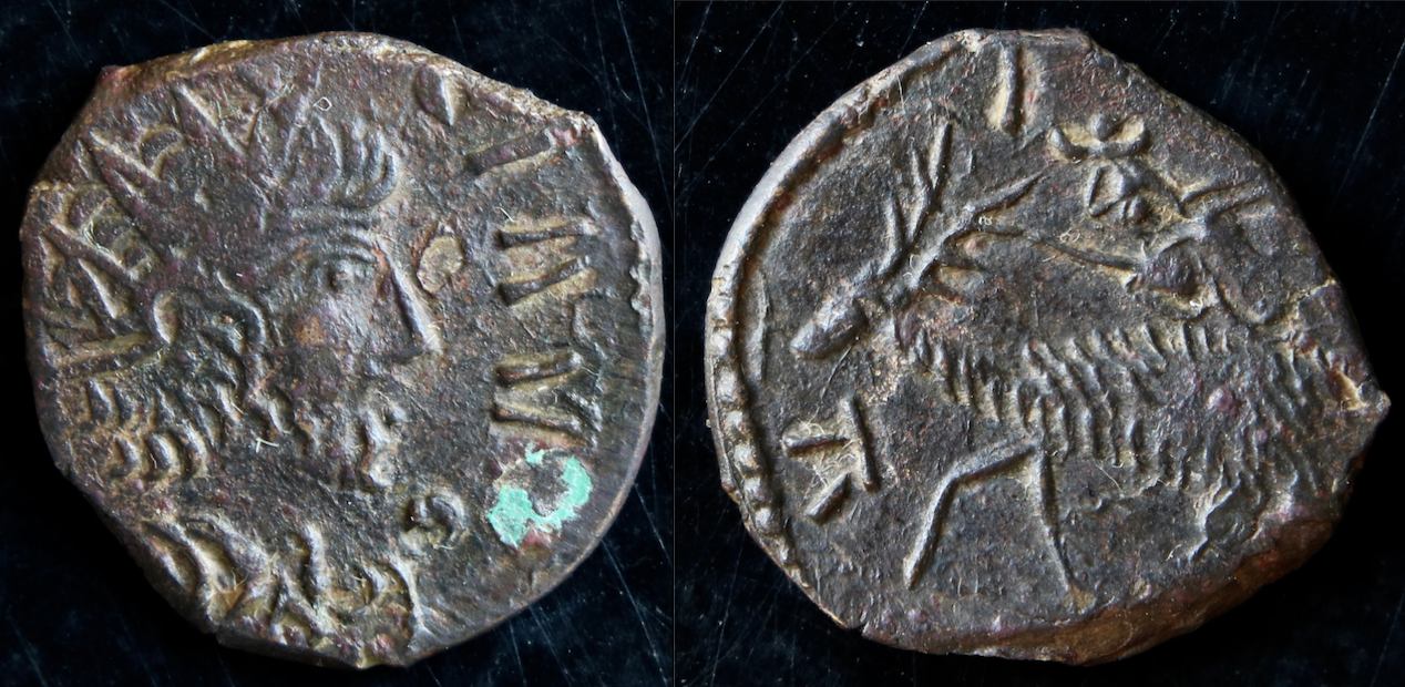 Rom – Barbarous Radiate, Stag reverse (neu).png