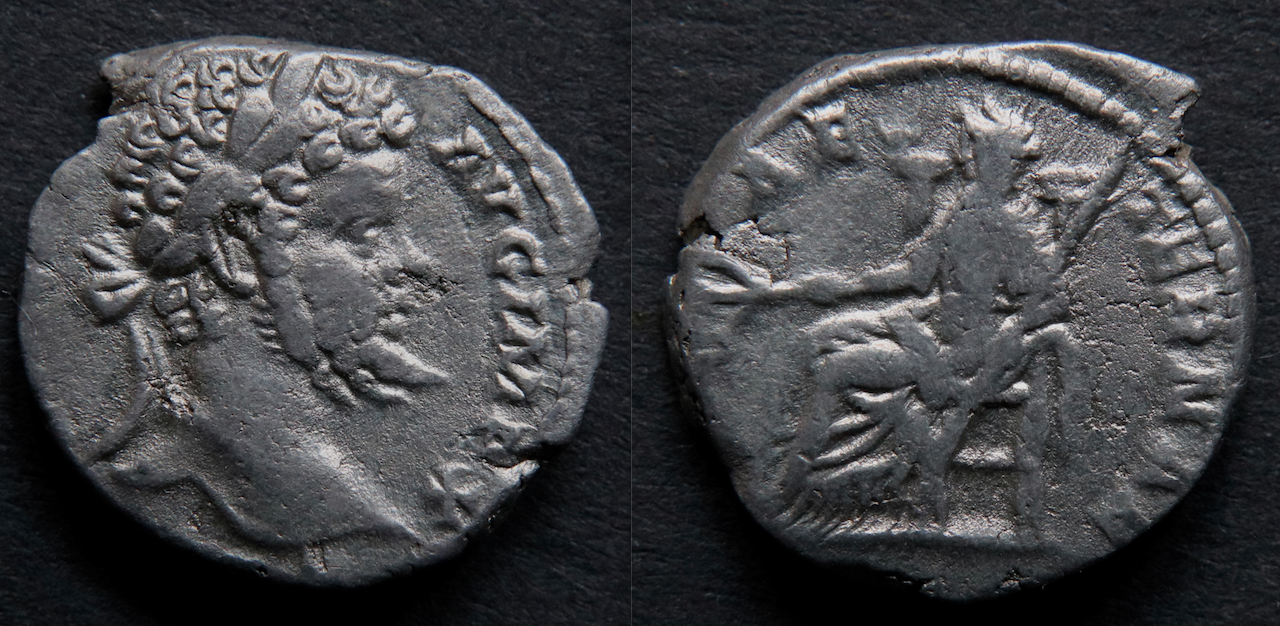 Rom – Septimius Severus, denar, Pax (neuestes Foto).png