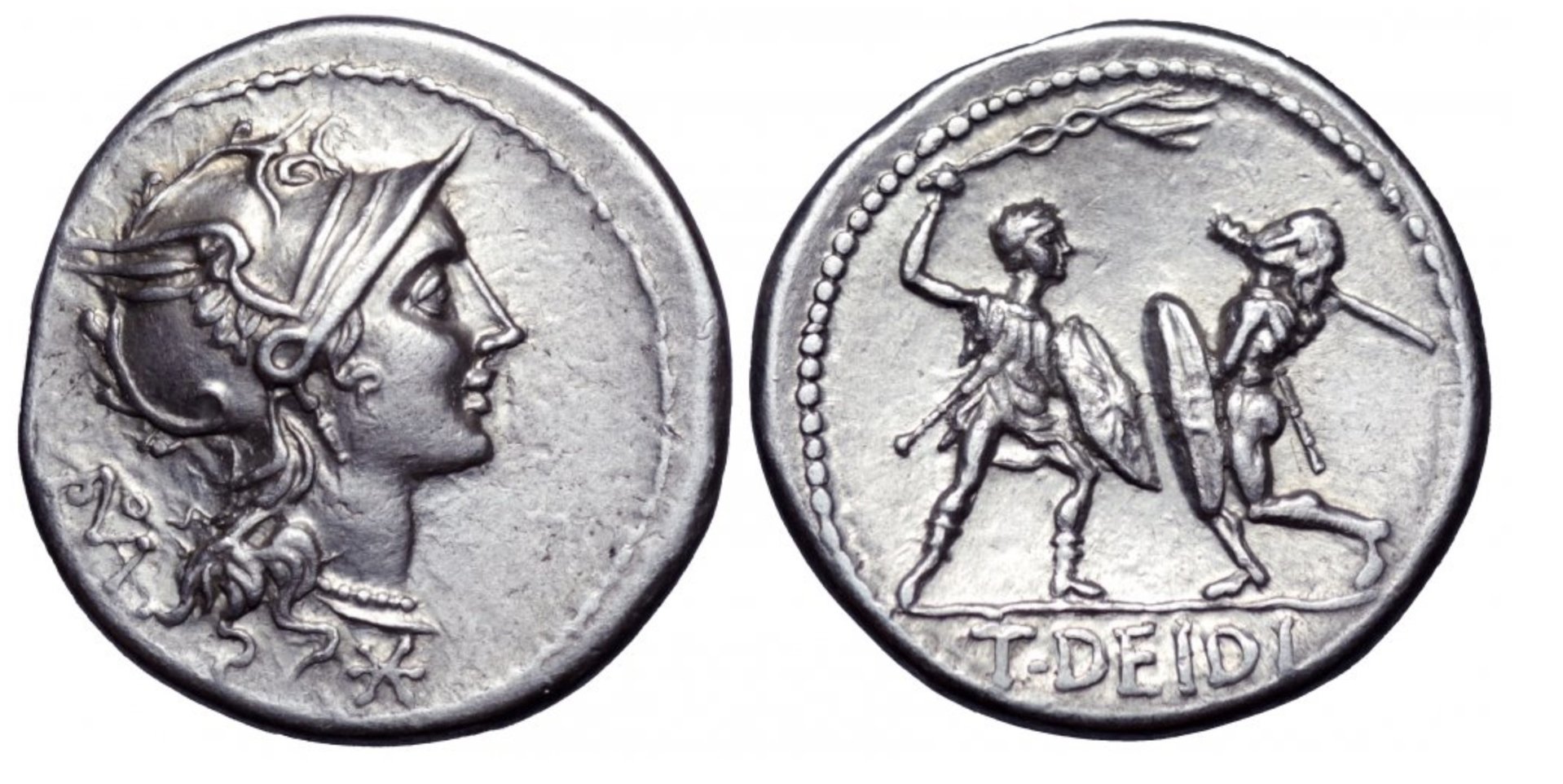 Roma 294-1-die link.jpg