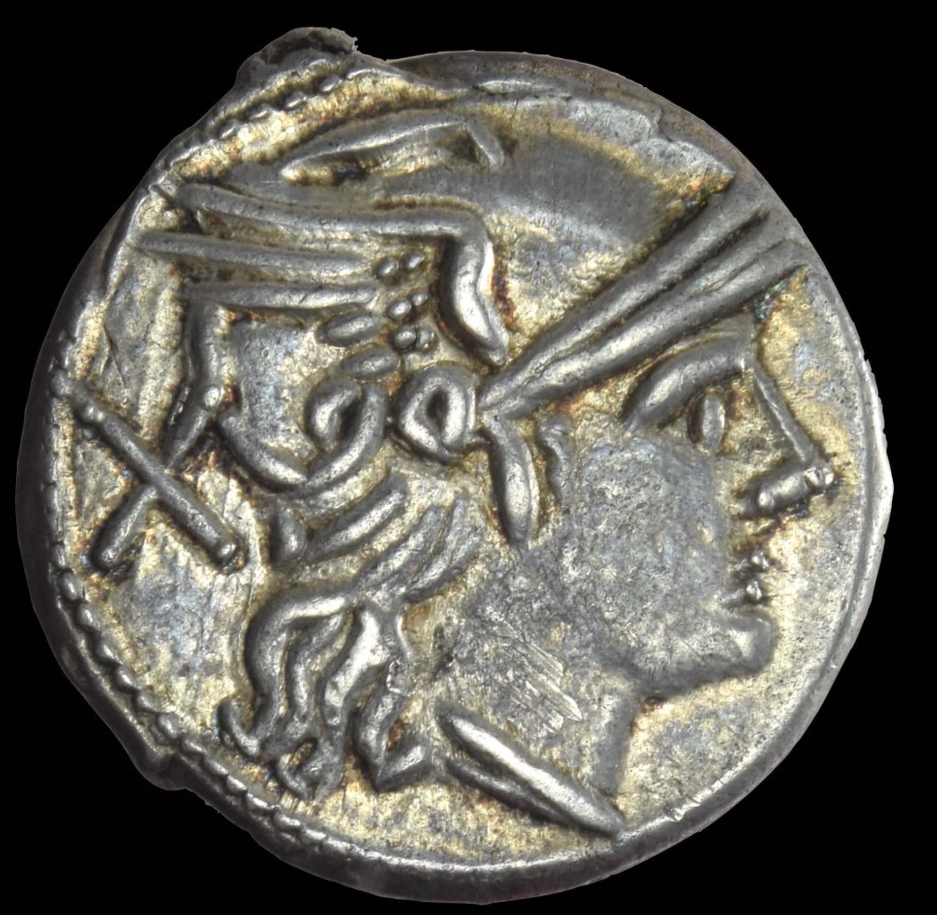 Roma Caduceus.jpeg