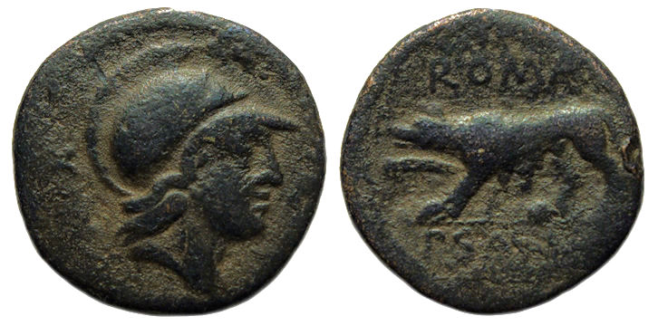 Roma Wolf Ae 2.jpg
