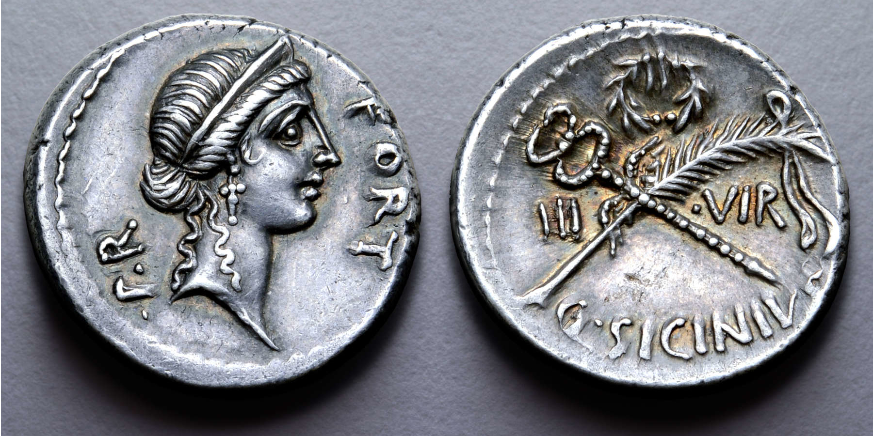 RomaBlueComb.jpg