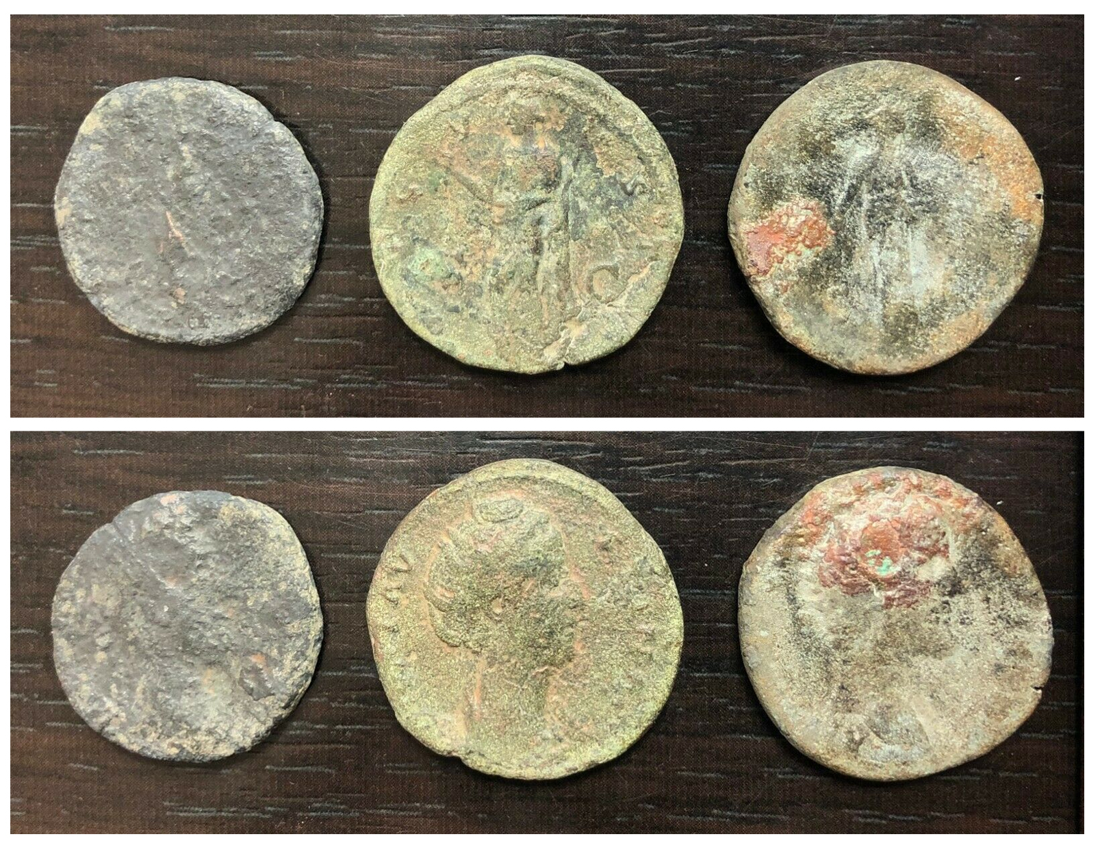 Roman AE as coins before.jpg