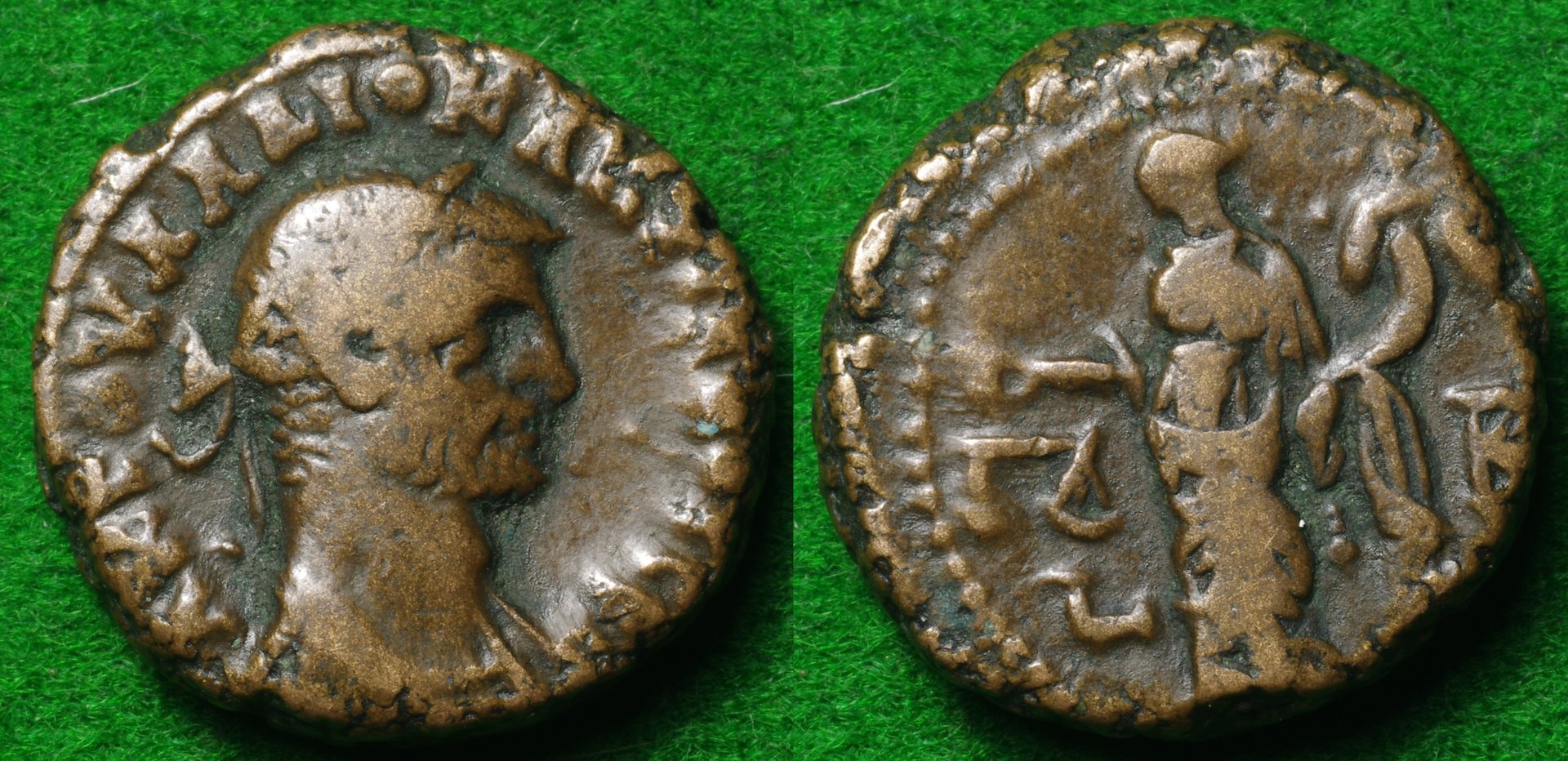 Roman Alex 1-horz.jpg