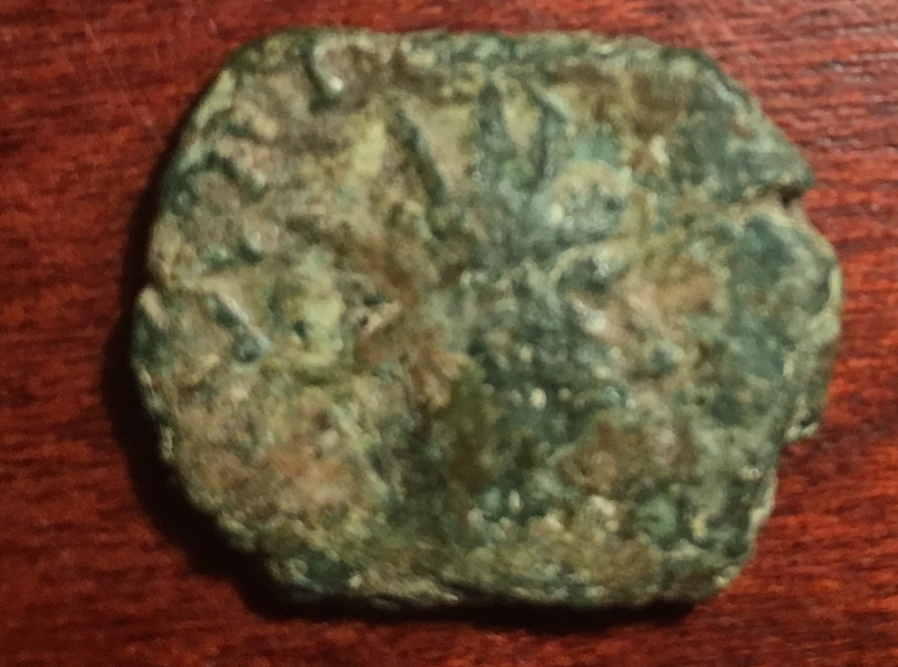 Roman Coin (Plebis) (2).JPG