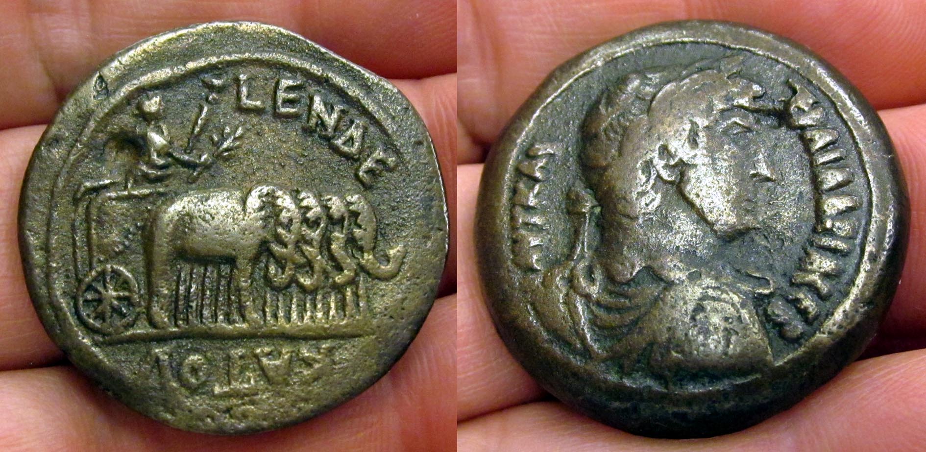 Roman Elephant Quad Collage.jpg