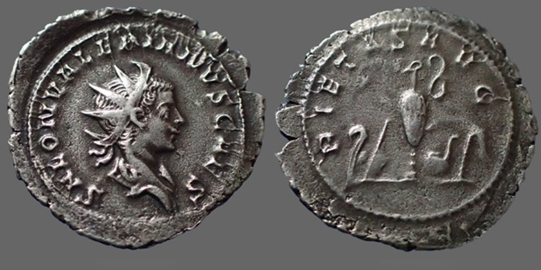 Roman Empire Silver Antoninianus of Saloninus (minted in Colonia Agrippina in 259).jpeg