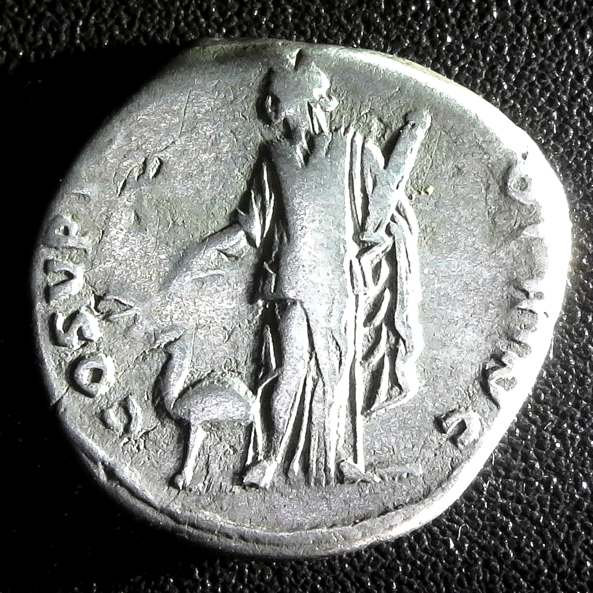 Roman Imperial Trajan 98-117 AD ~  . Silver Denarius . Arabia Camel rev A.jpg