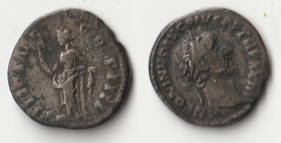 roman.jpg