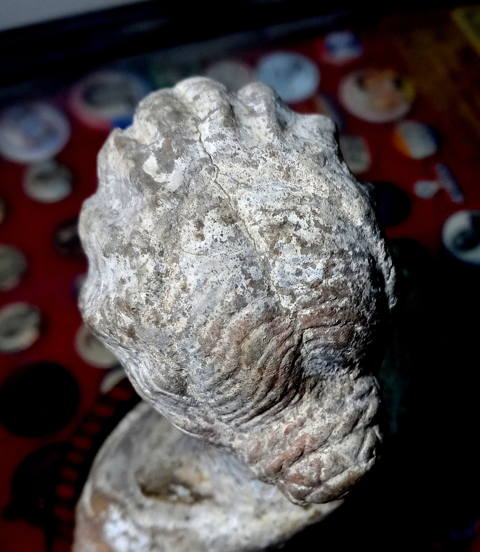 Roman lady portrait bust 16 (DML).jpeg
