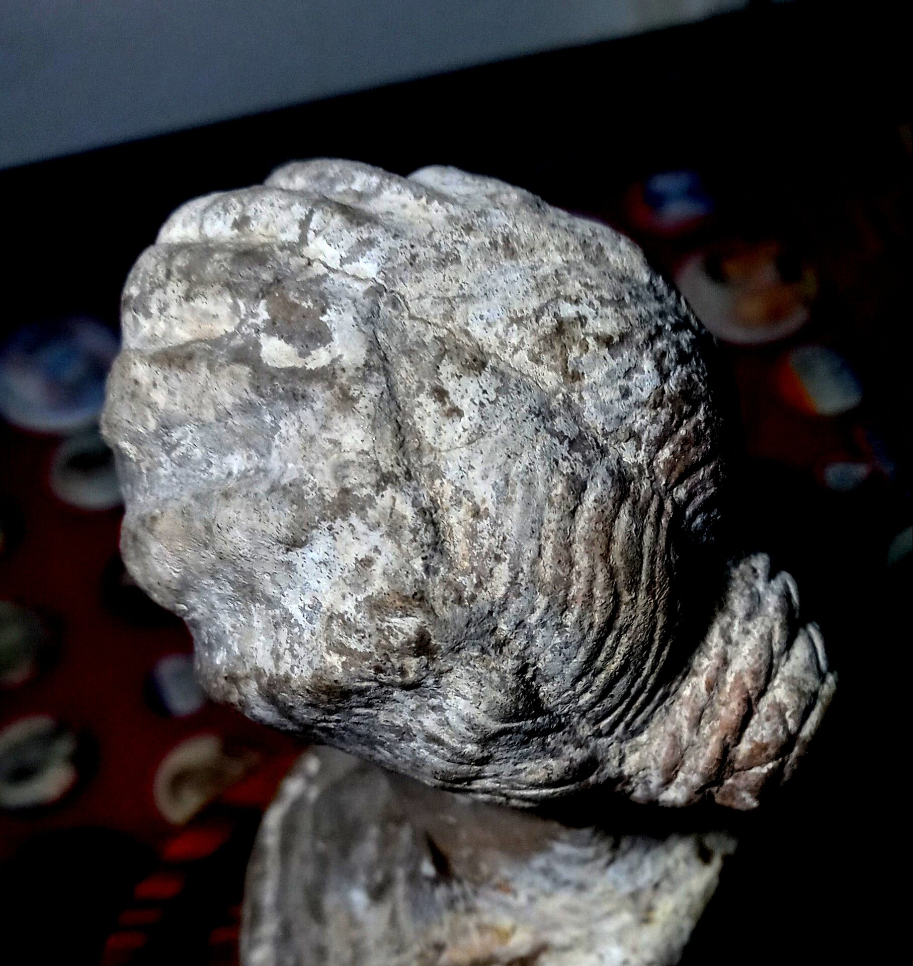 Roman lady portrait bust 17 (DML).jpeg