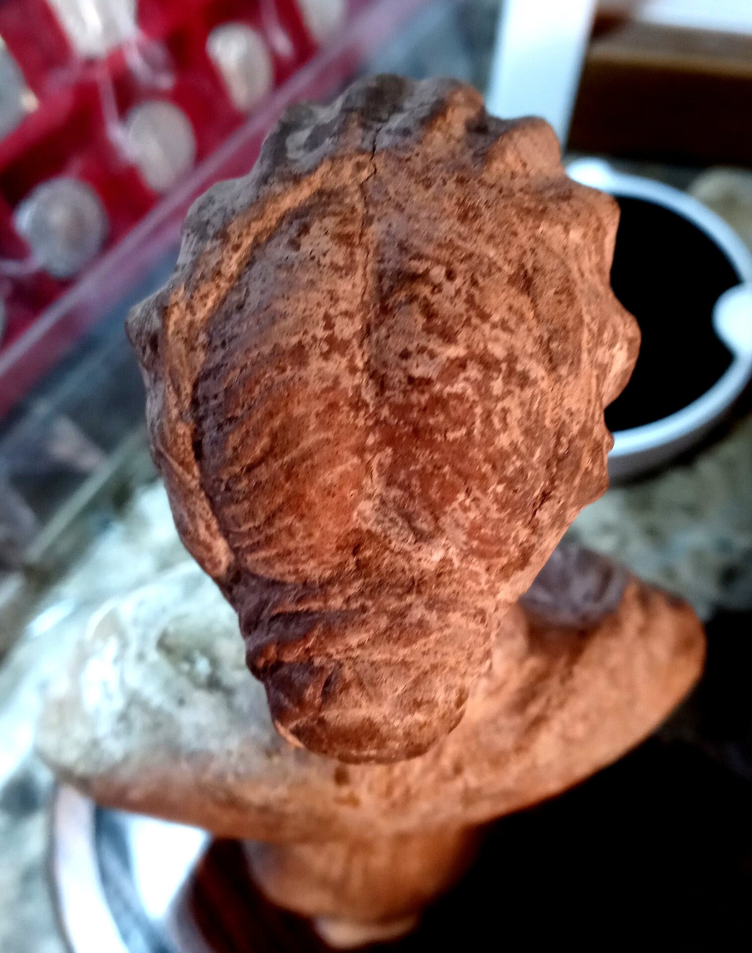 Roman lady portrait bust 26 (DML).jpeg