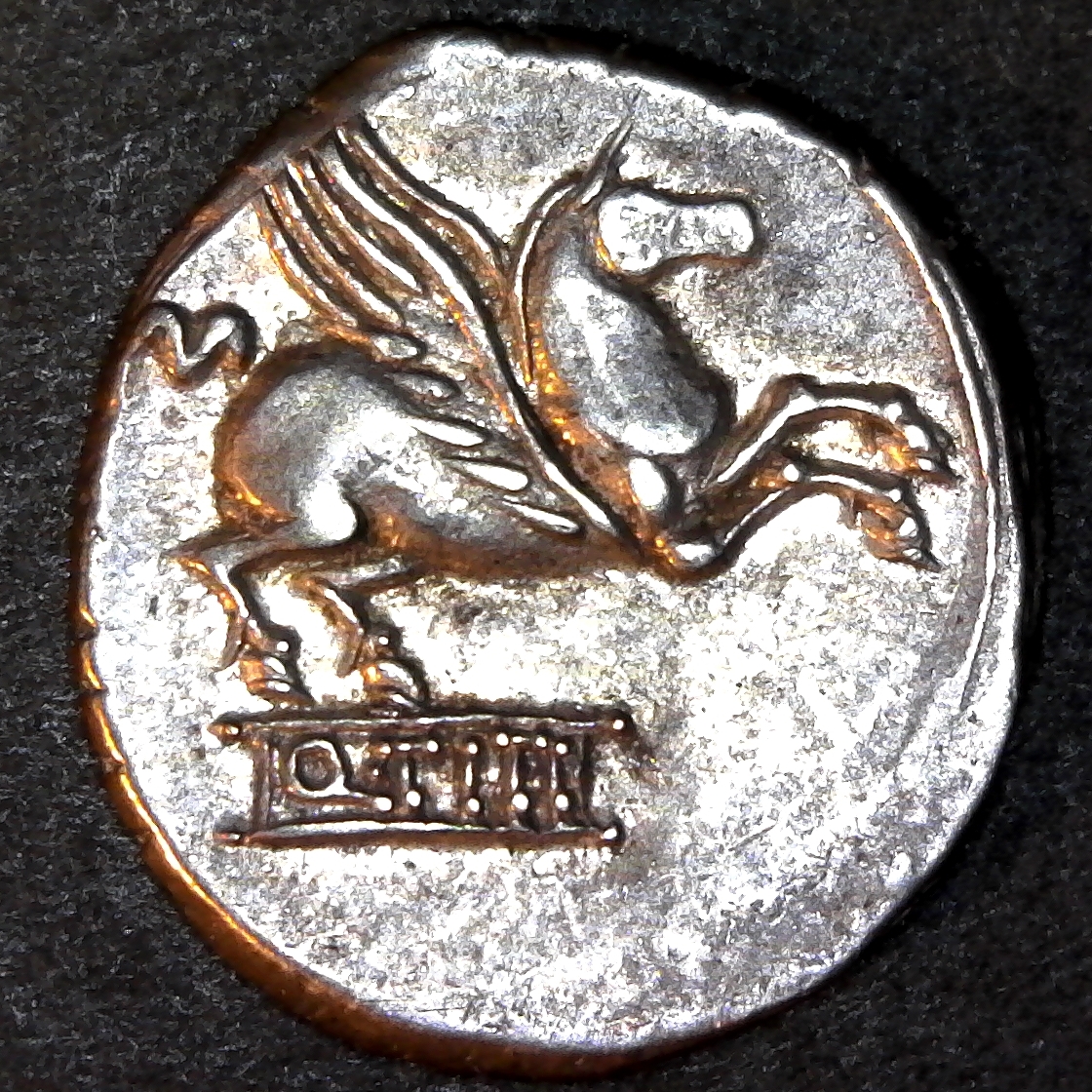 Roman Pegasus A.jpg