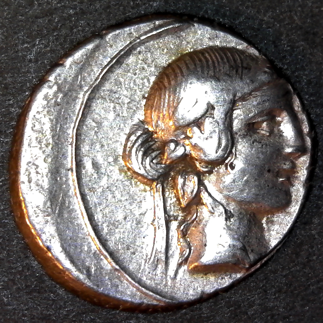 Roman Pegasus A rev.jpg