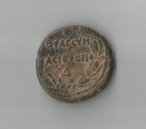 Roman R.jpg