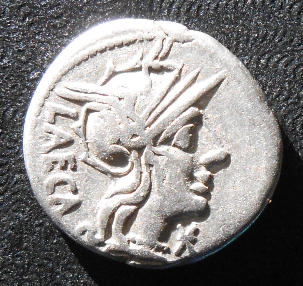 roman republic porcia 002.JPG