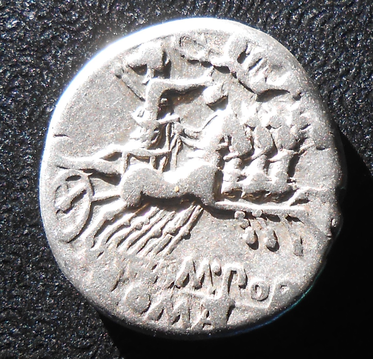 roman republic porcia 003.JPG
