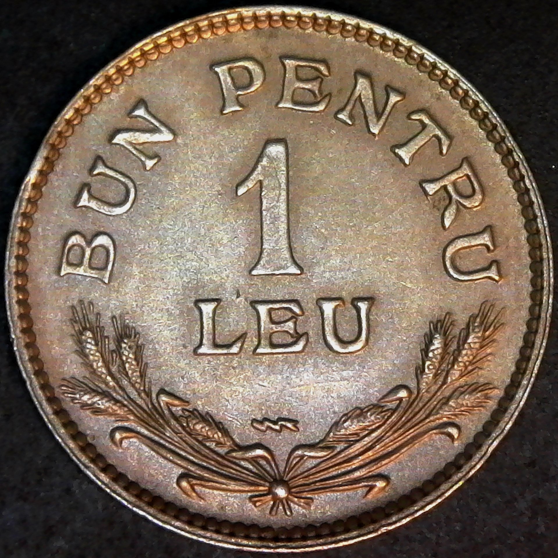 Romania 1 Leu 1924 reverse.jpg
