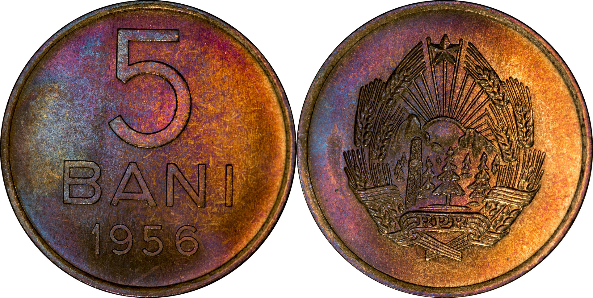 Romania - 1956 5 Bani Angled.jpg