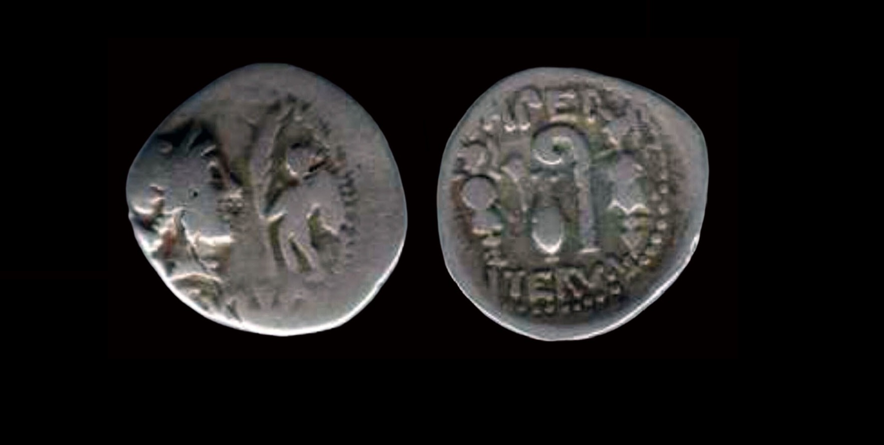 RomRep_Cornelia30_Sulla_ARDen_Mouse0403.jpg