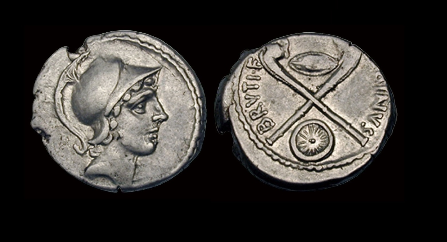 RomRep_Postumia11_ARDen_FreemanSear0304.jpg