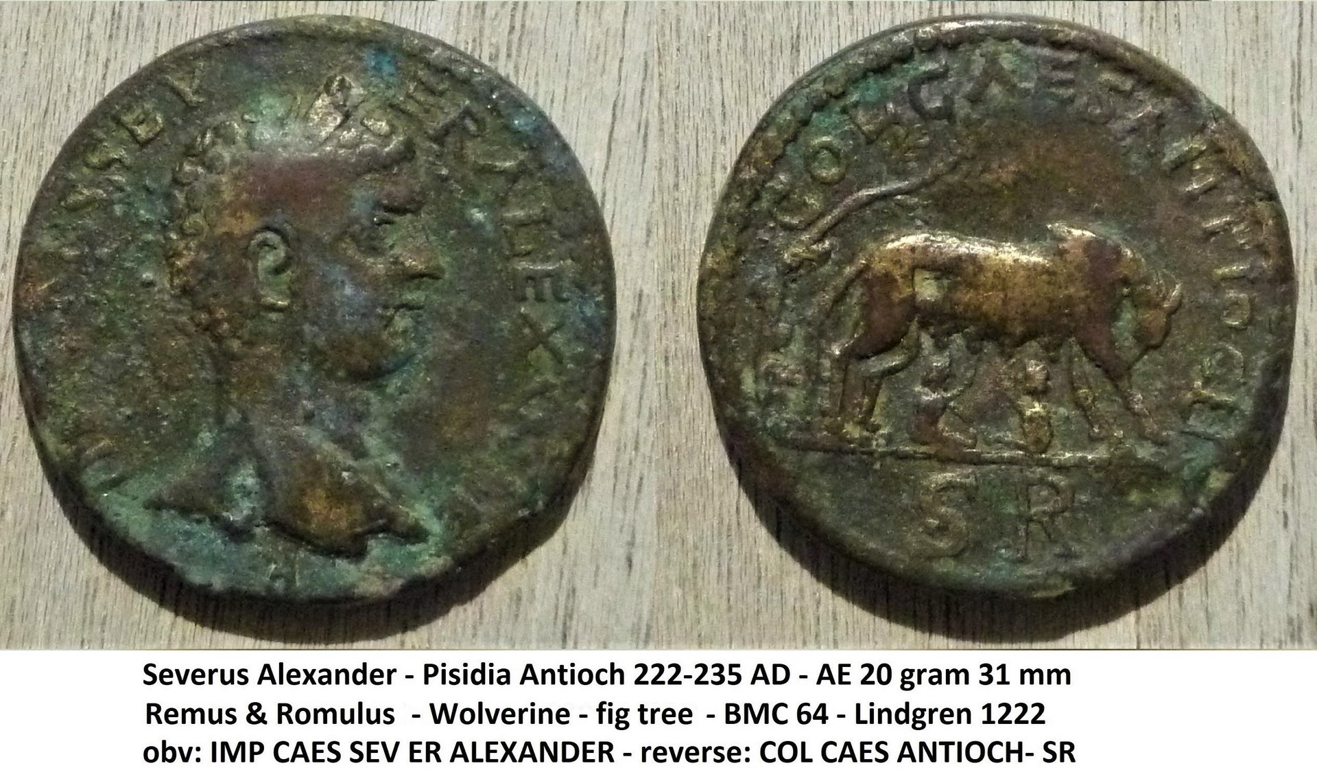 Romulus Remus (5).JPG