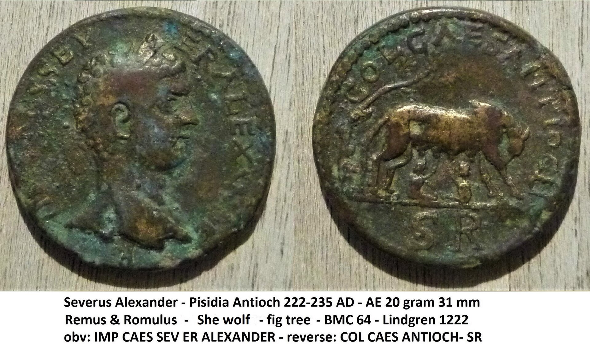 Romulus Remus (5).JPG