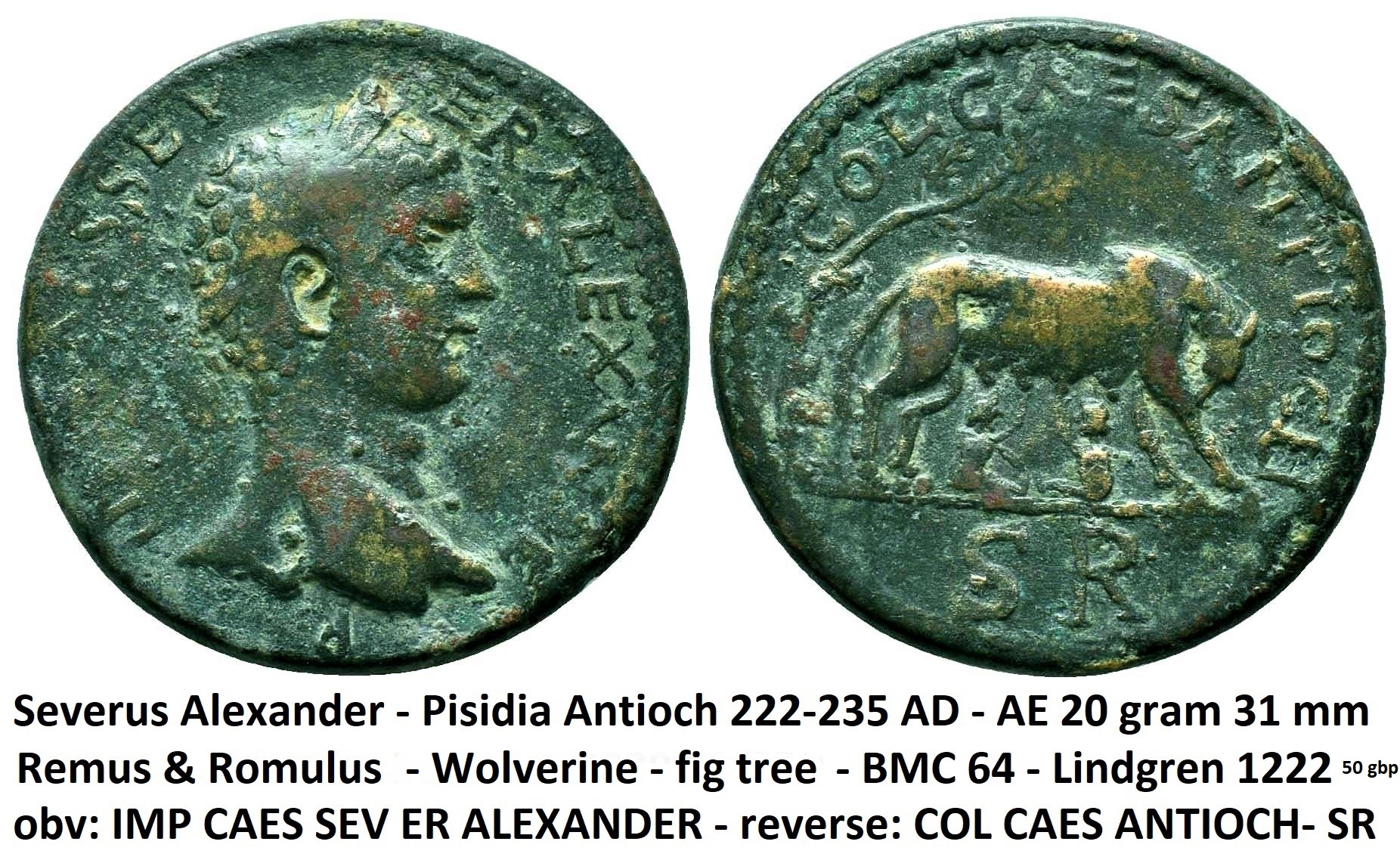 Romulus Remus.JPG
