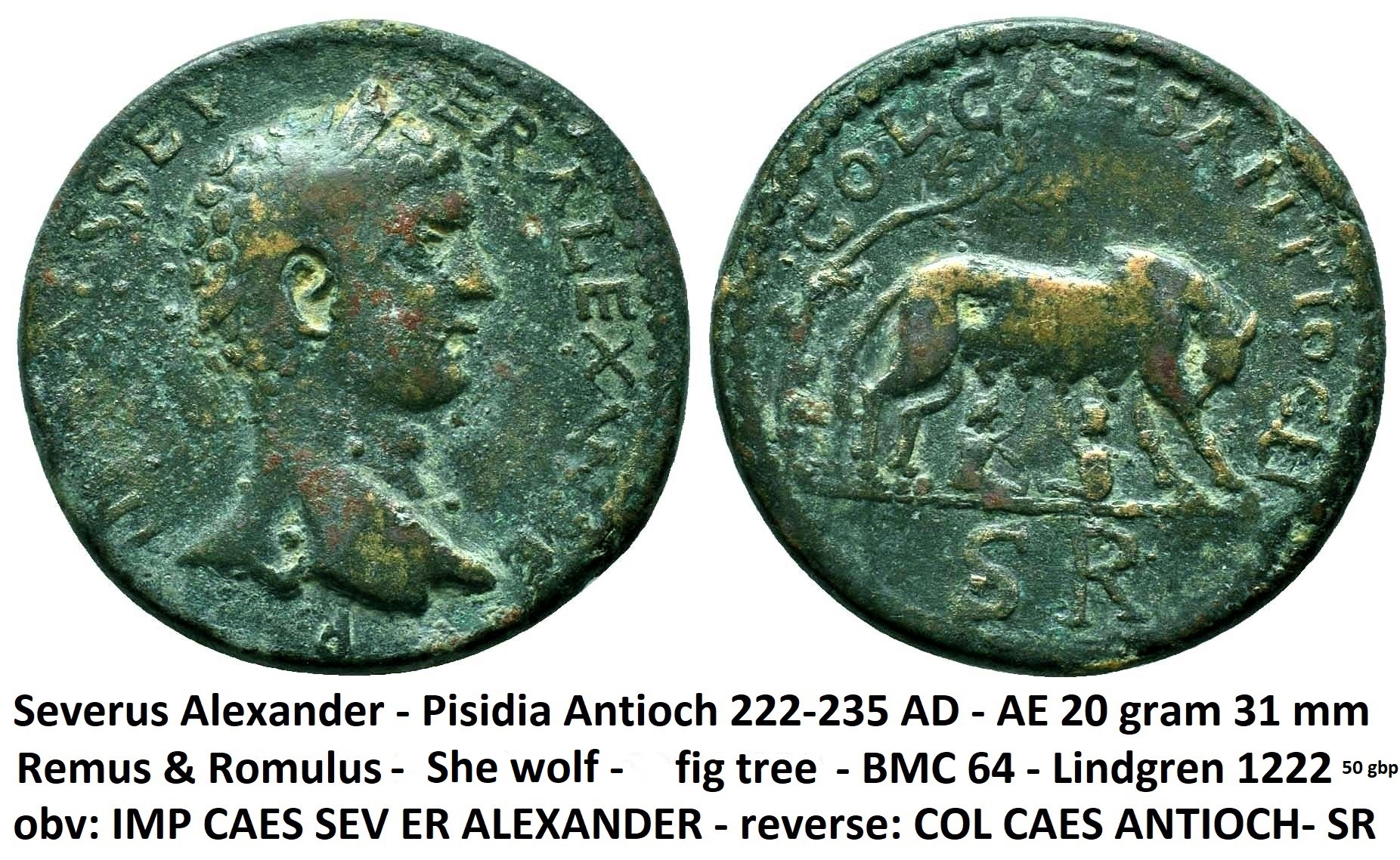Romulus Remus.JPG