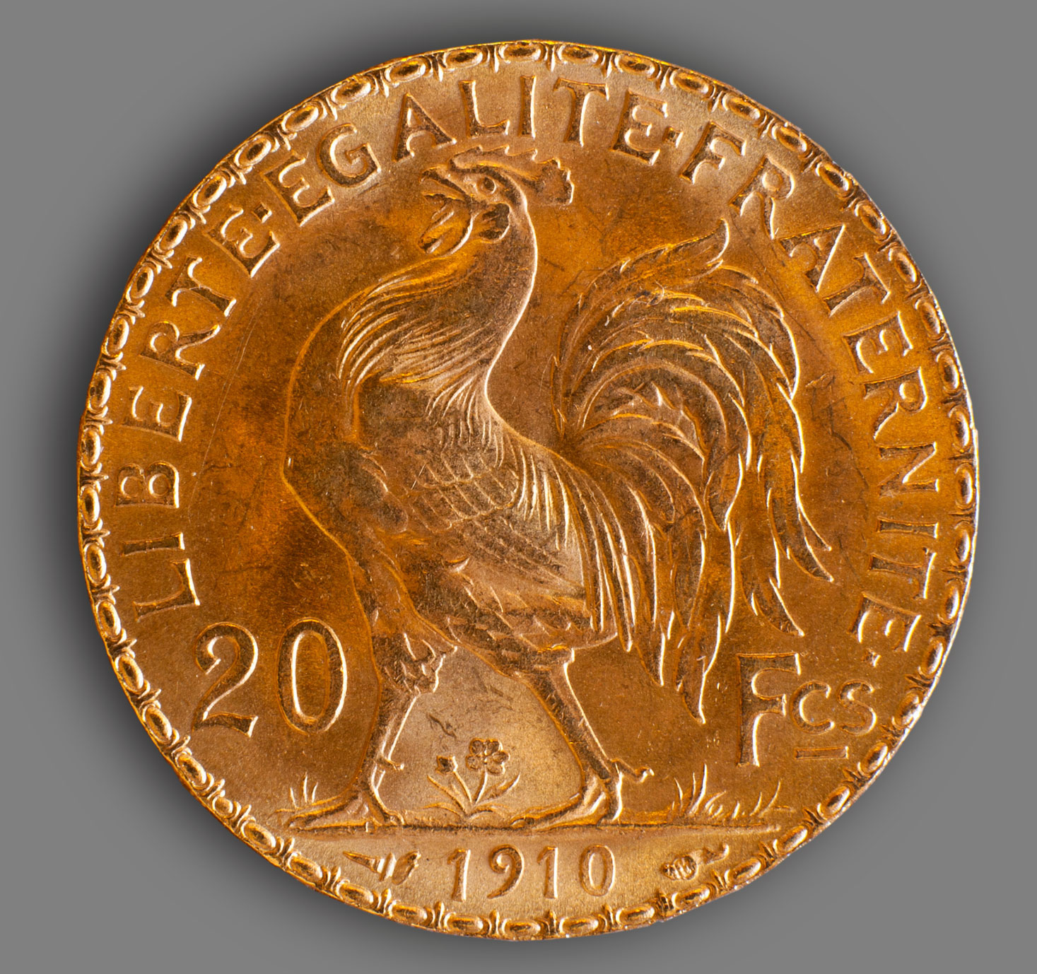 rooster1.jpg