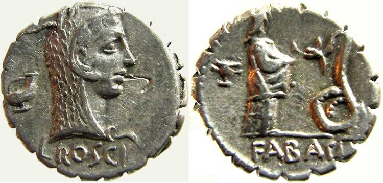 roscius_fabatus_Crawford412.1.jpg
