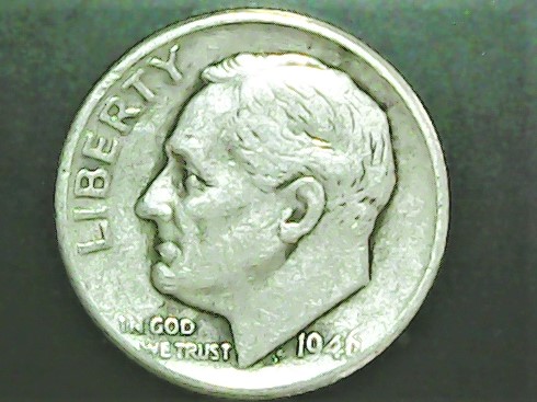 Rosie 46.jpg