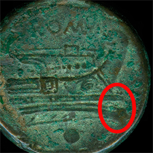 RostrumTridens3.jpg
