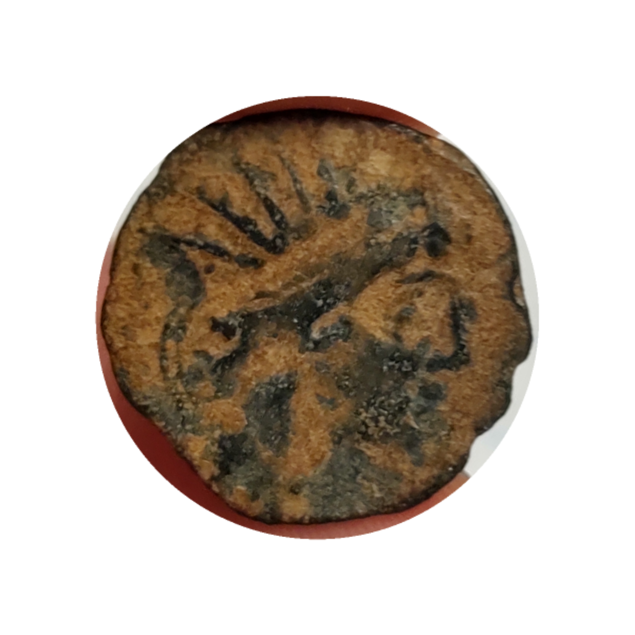 RoundPhoto_Oct172019_135618.png