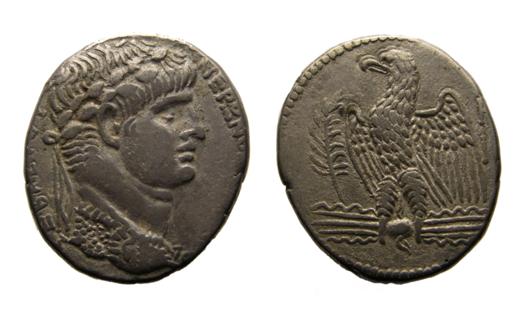 rp001.jpg