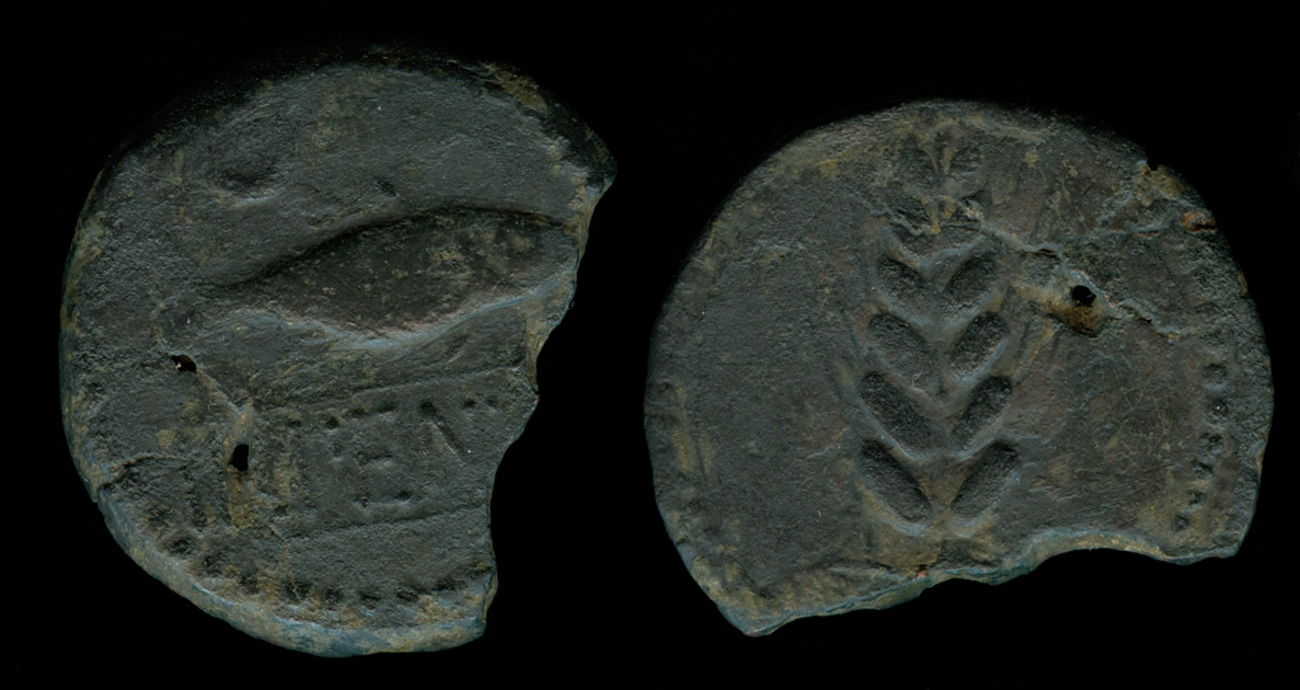 rp008.jpg