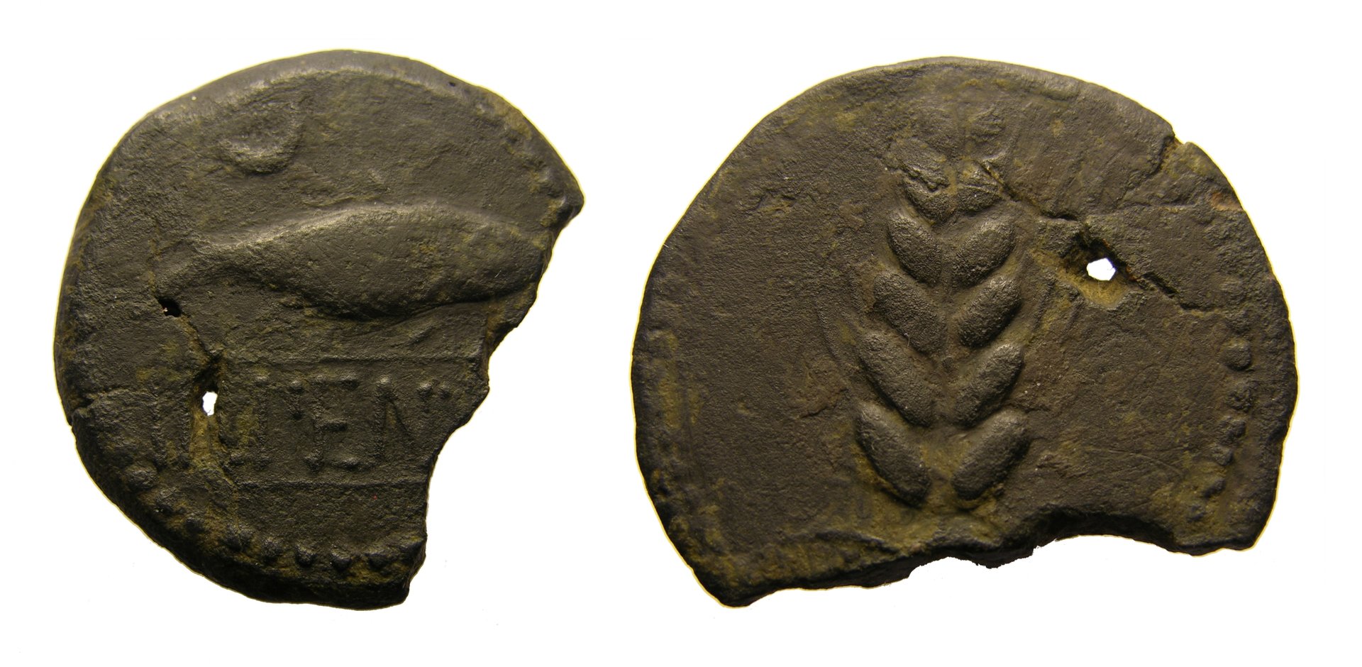 rp008.jpg