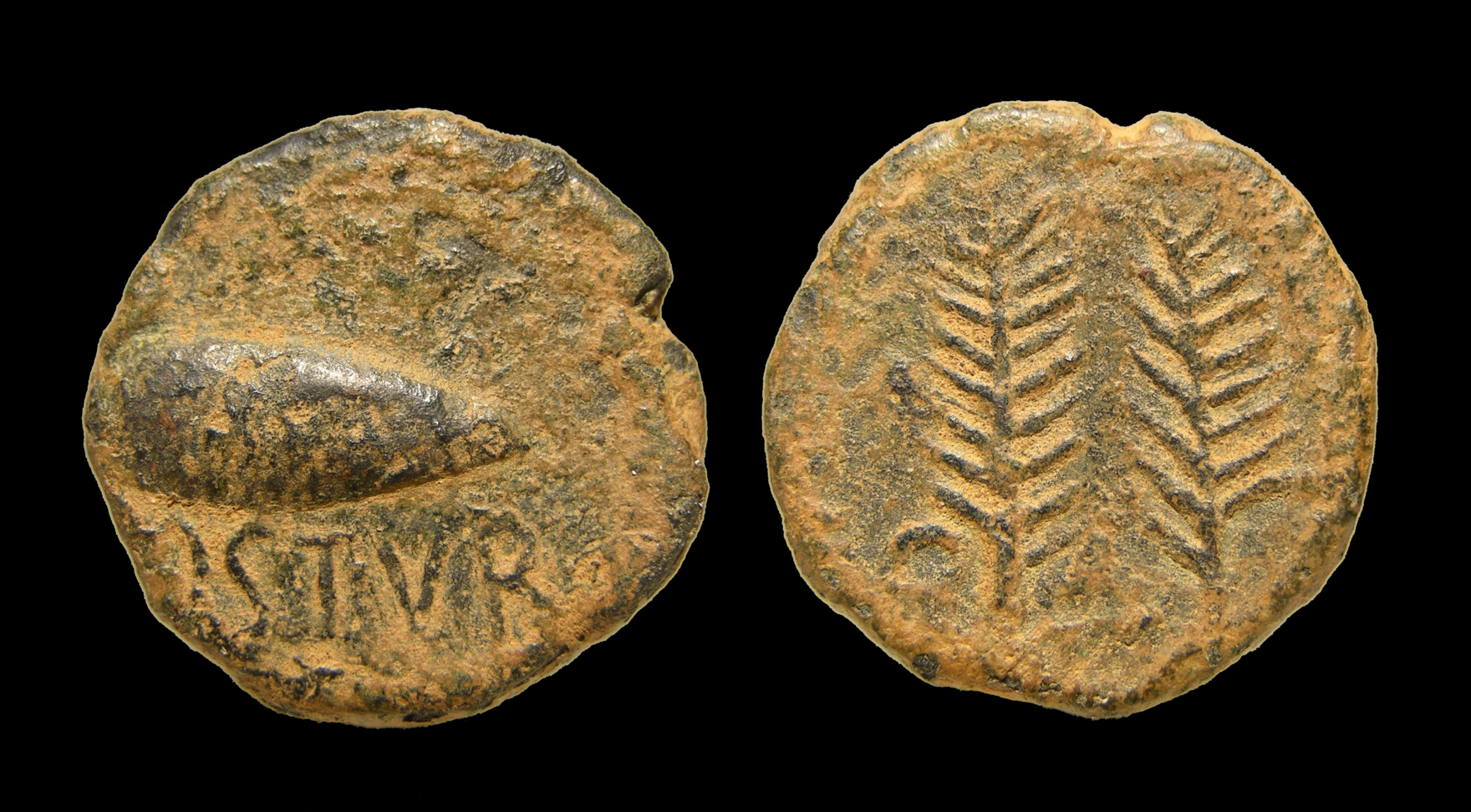 rp010.jpg
