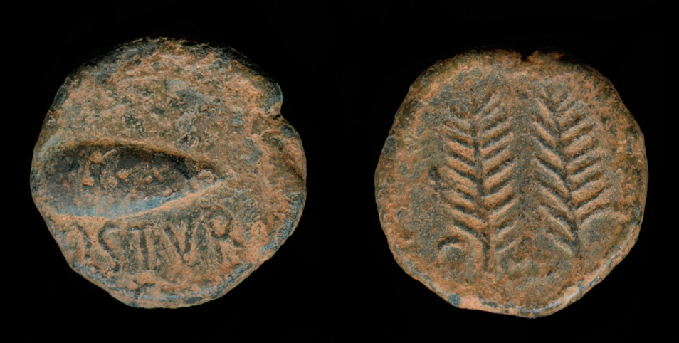 rp010.jpg
