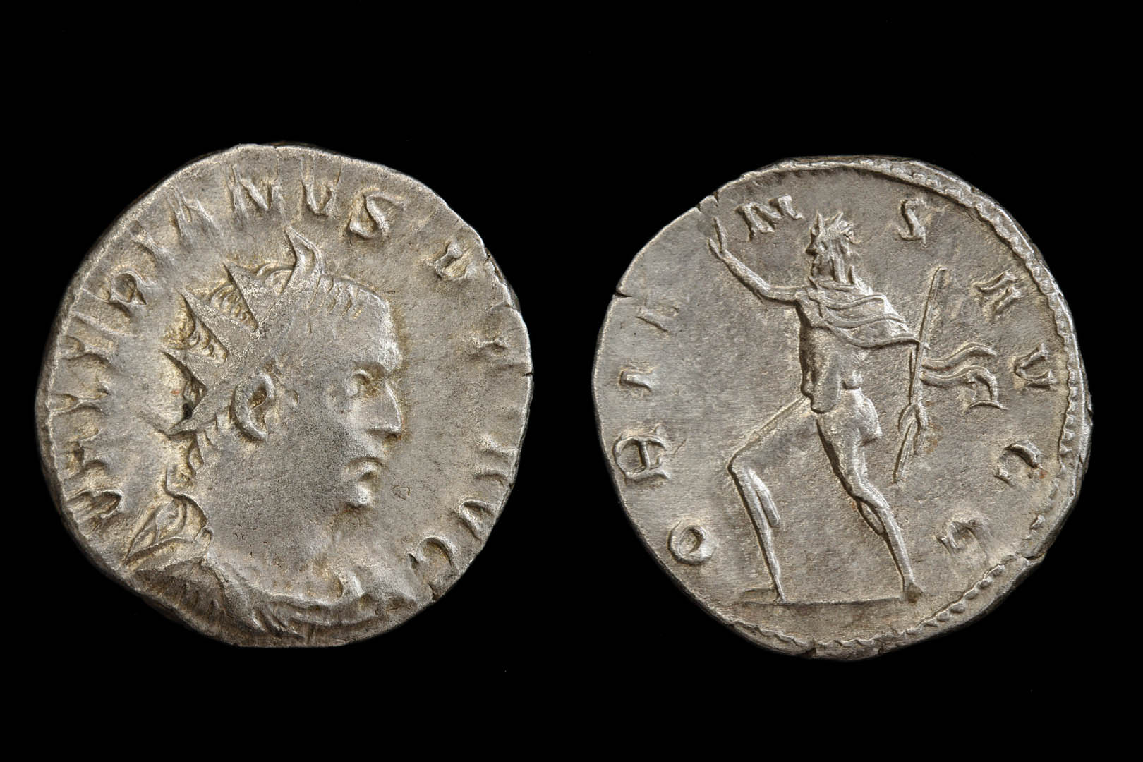 rp1495fd3311.jpg