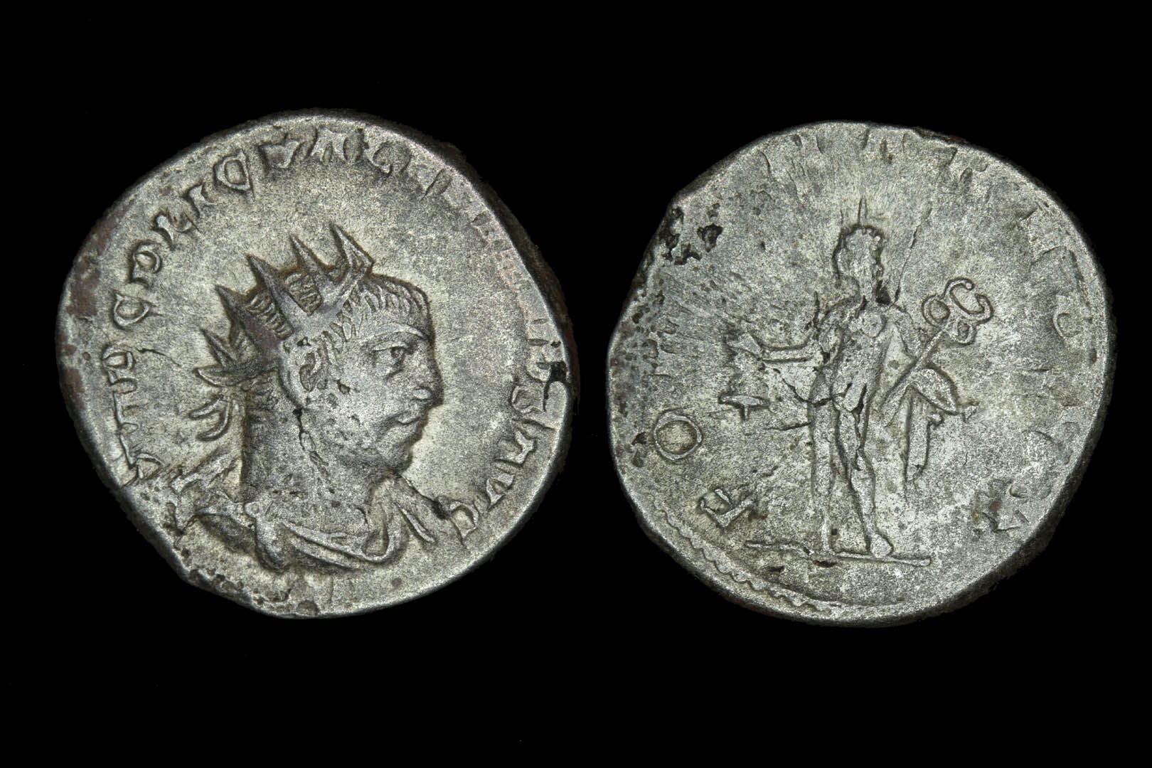 rp1503fd3366.jpg