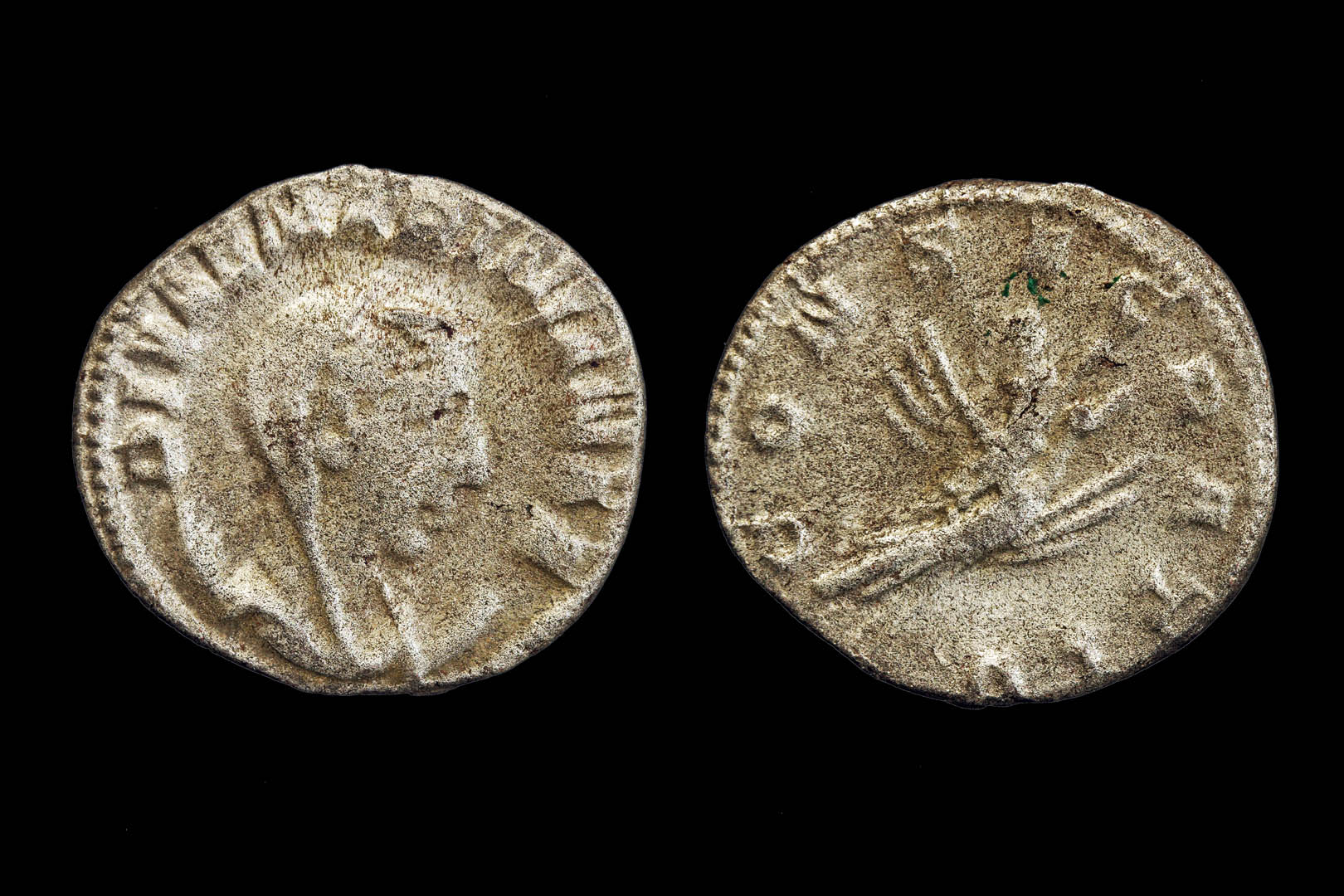 rp1535yy3296.jpg