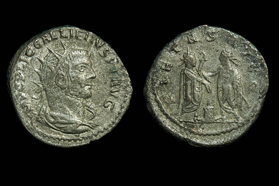 rp1555bb2987.jpg