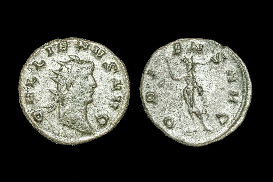 rp1560bb1509.jpg