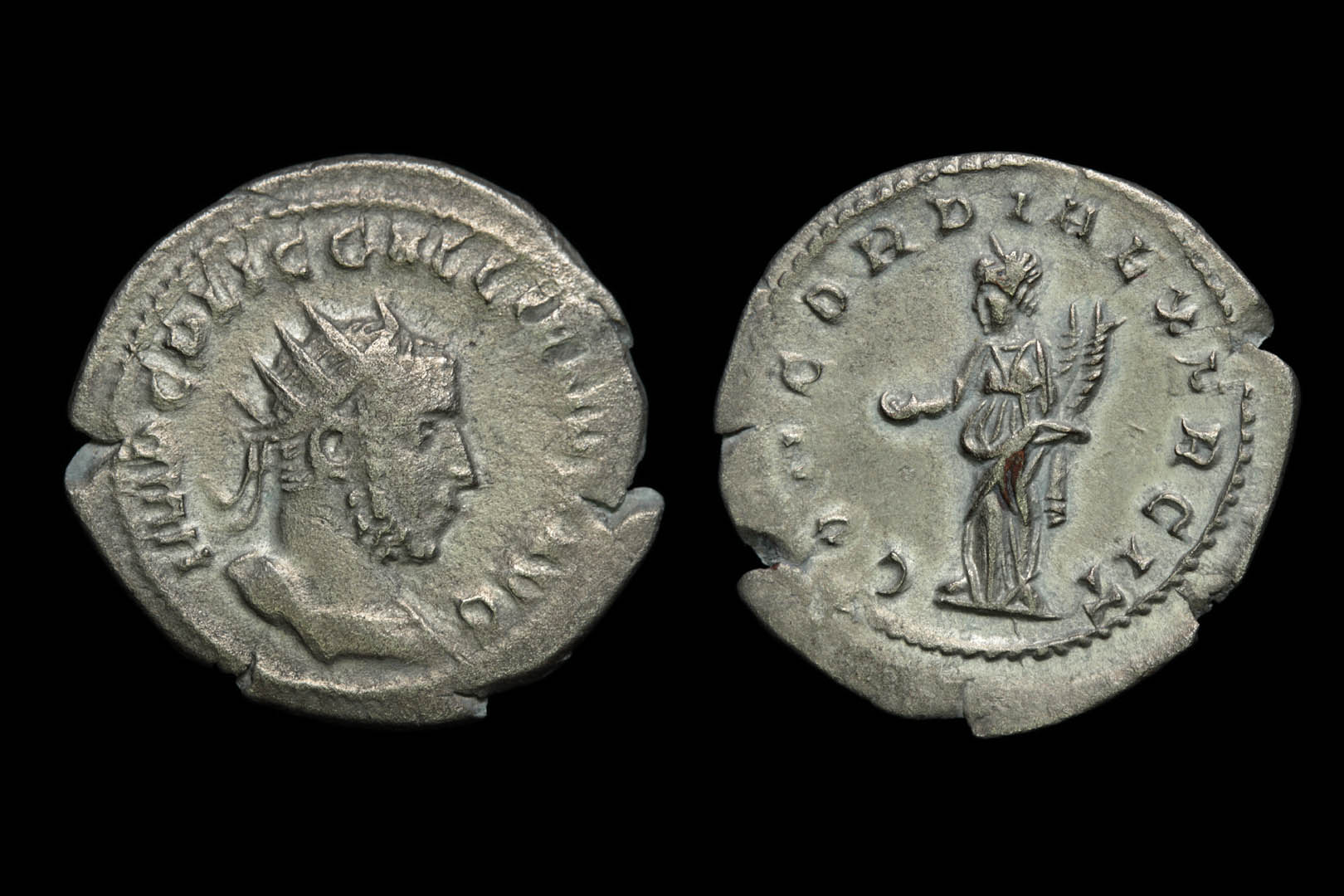 rp1565fd0178.jpg