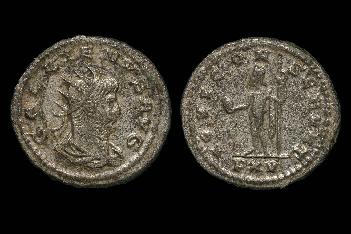 rp1575bb3141.jpg